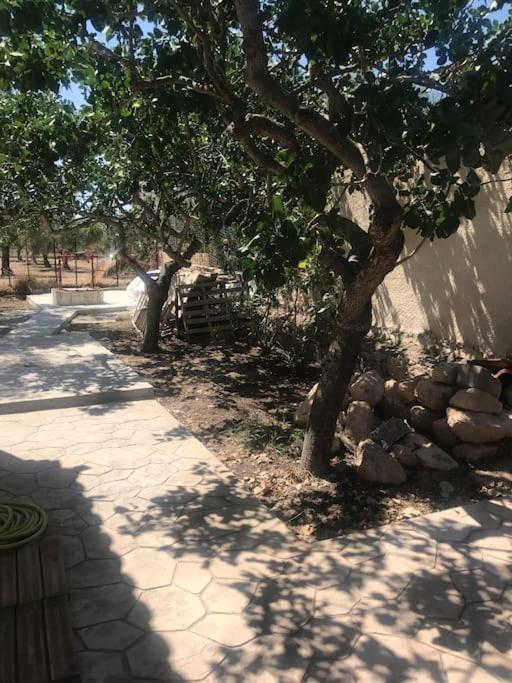 Πέτρινη Κατοικία Στην Αίγινα - Stone House In Aigina Khloi Exterior photo